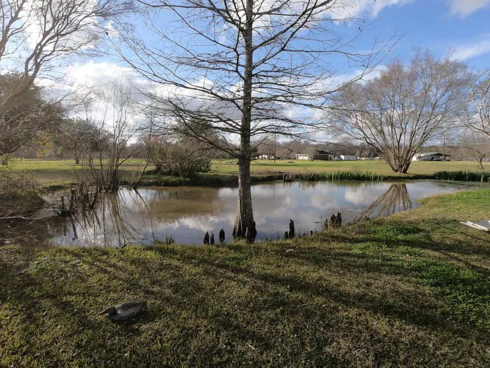 Professional garden landscaping in New Orleans, LA - Innovative Aquatic Solutions