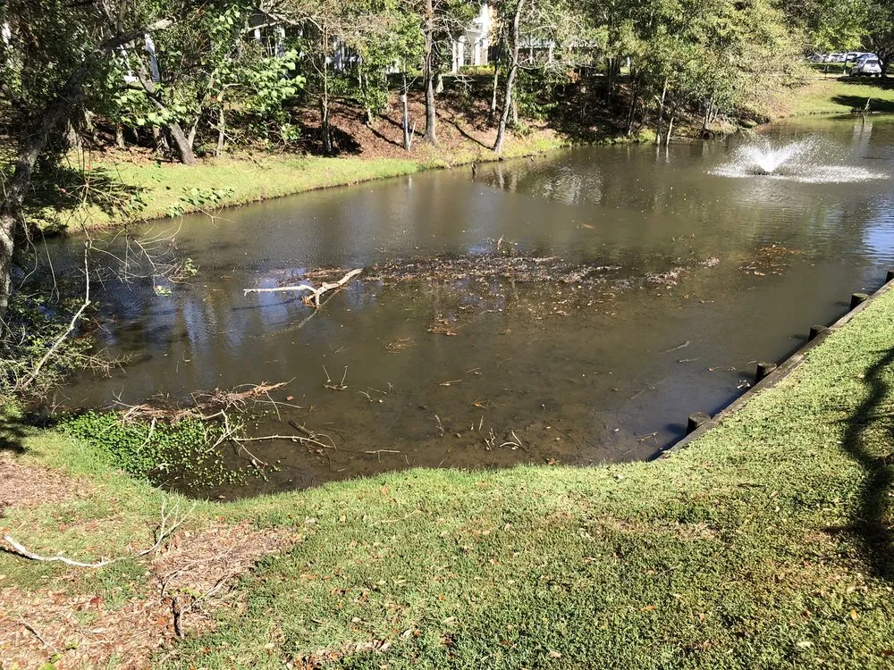 Custom residential landscaping experts serving New Orleans, LA - Innovative Aquatic Solutions