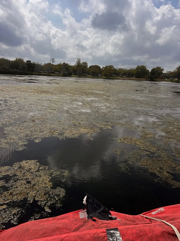 Professional landscaping services for year-round maintenance in New Orleans, LA by Innovative Aquatic Solutions