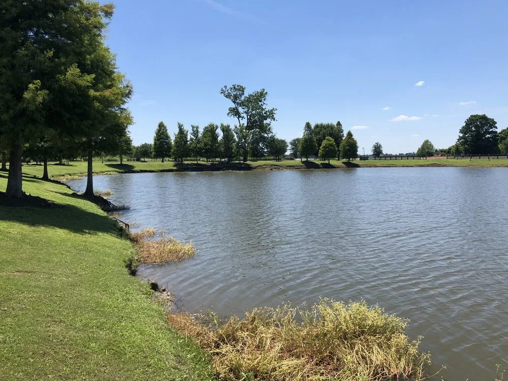 Custom landscape installation for year-round maintenance in New Orleans, LA by Innovative Aquatic Solutions