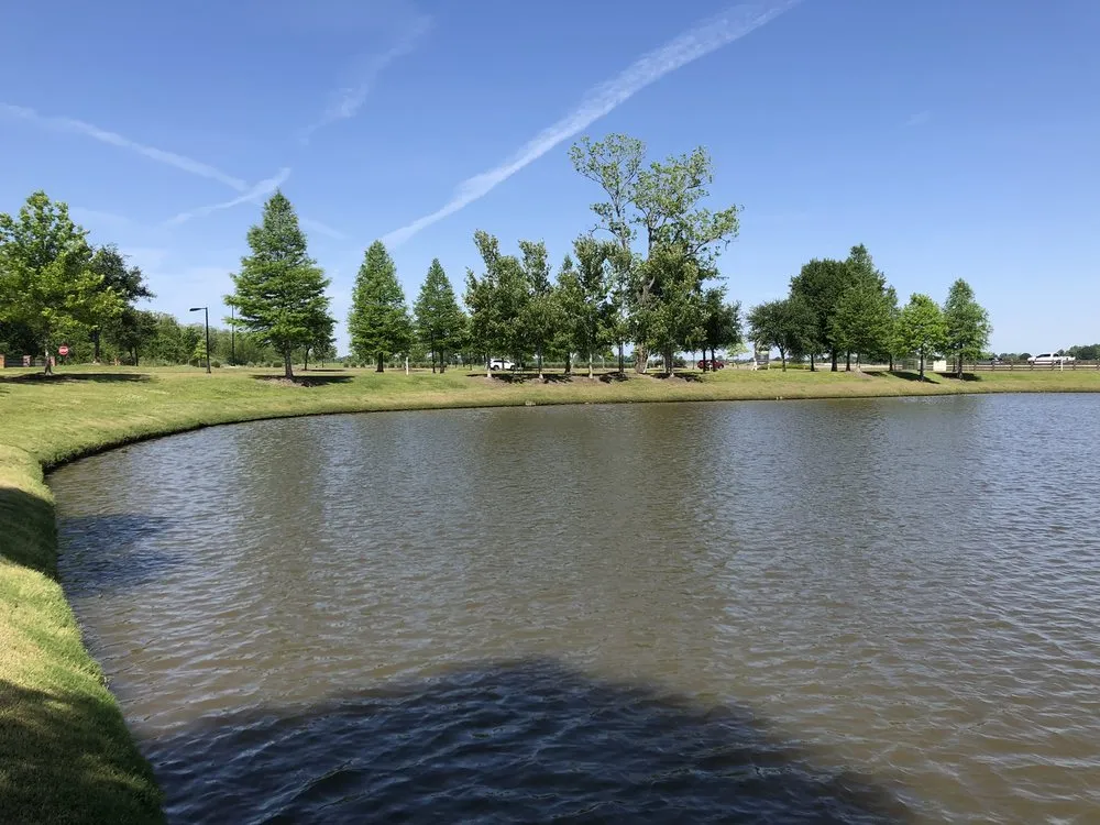 Top-rated yard cleanup service in New Orleans, LA - Innovative Aquatic Solutions