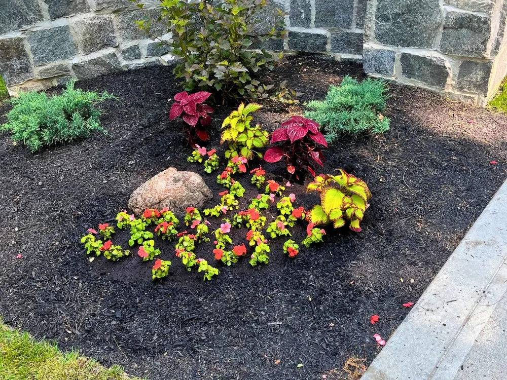 Top-rated yard cleanup service in Chardon, OH - Innovative Companies