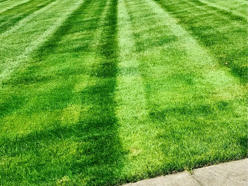 Local outdoor landscaping with custom design across Chardon, OH - Innovative Companies