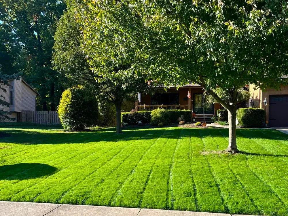 Top-rated yard maintenance in Chardon, OH by Innovative Companies
