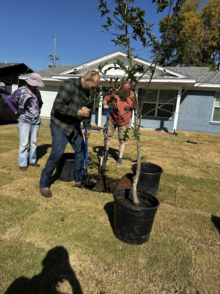 Reliable garden landscaping in Balch Springs, TX - Innovative Constructions & Landscapes