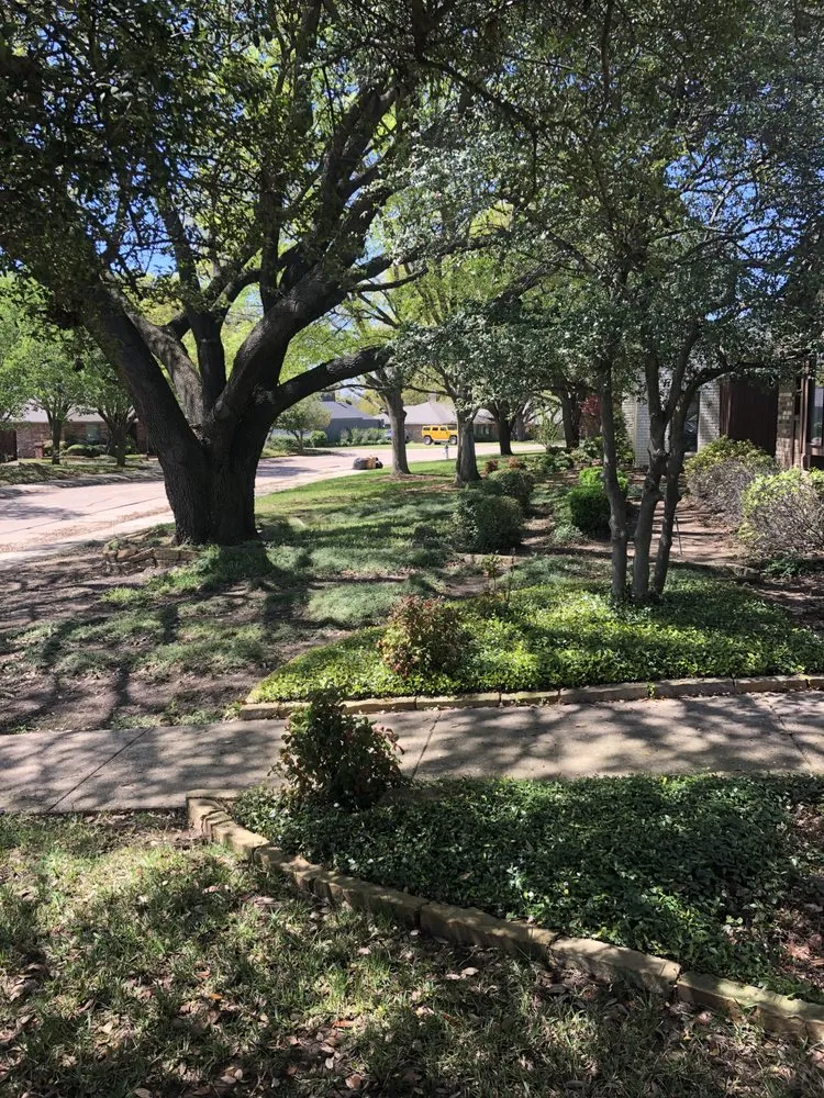 Professional yard cleanup service for year-round maintenance in Balch Springs, TX by Innovative Constructions & Landscapes