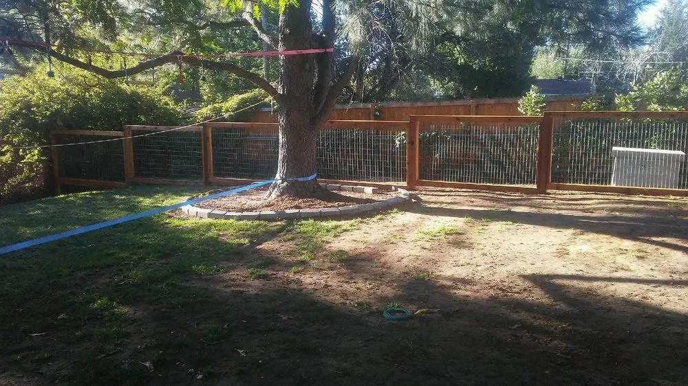 Trusted yard cleanup service in Lakewood, CO by Innovative Contracting Services