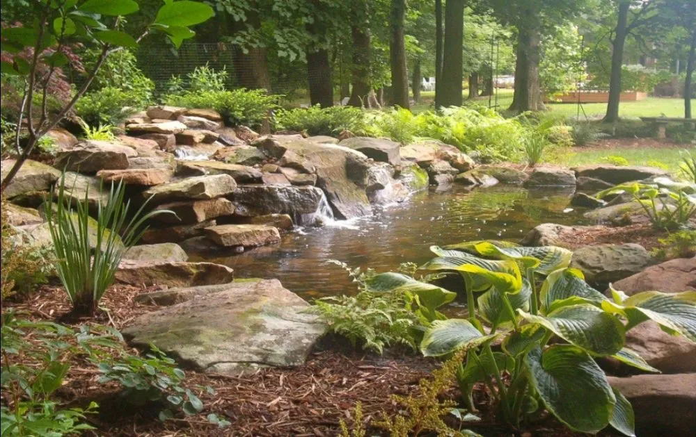 Local lawn care service experts serving North Ridgeville, OH - Innovative Designs