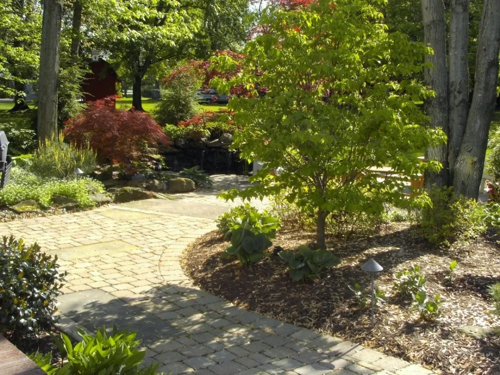 Professional yard cleanup service in North Ridgeville, OH by Innovative Designs