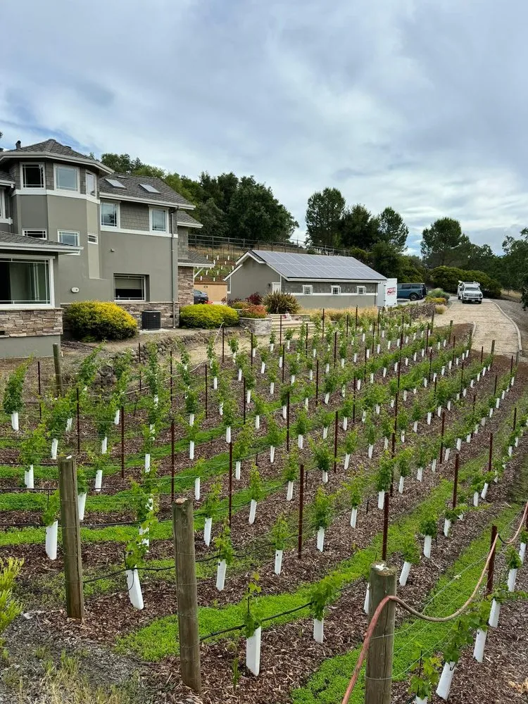 Custom garden landscaping in Redwood City, CA - Innovative Gardens