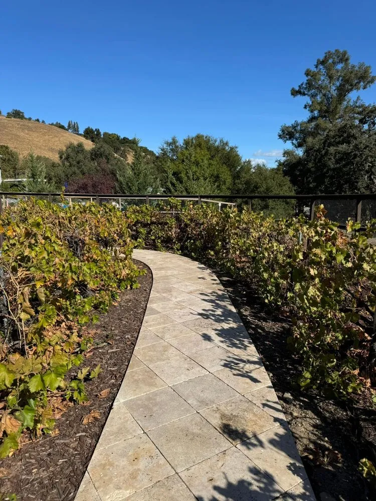 Professional landscape installation in Redwood City, CA by Innovative Gardens