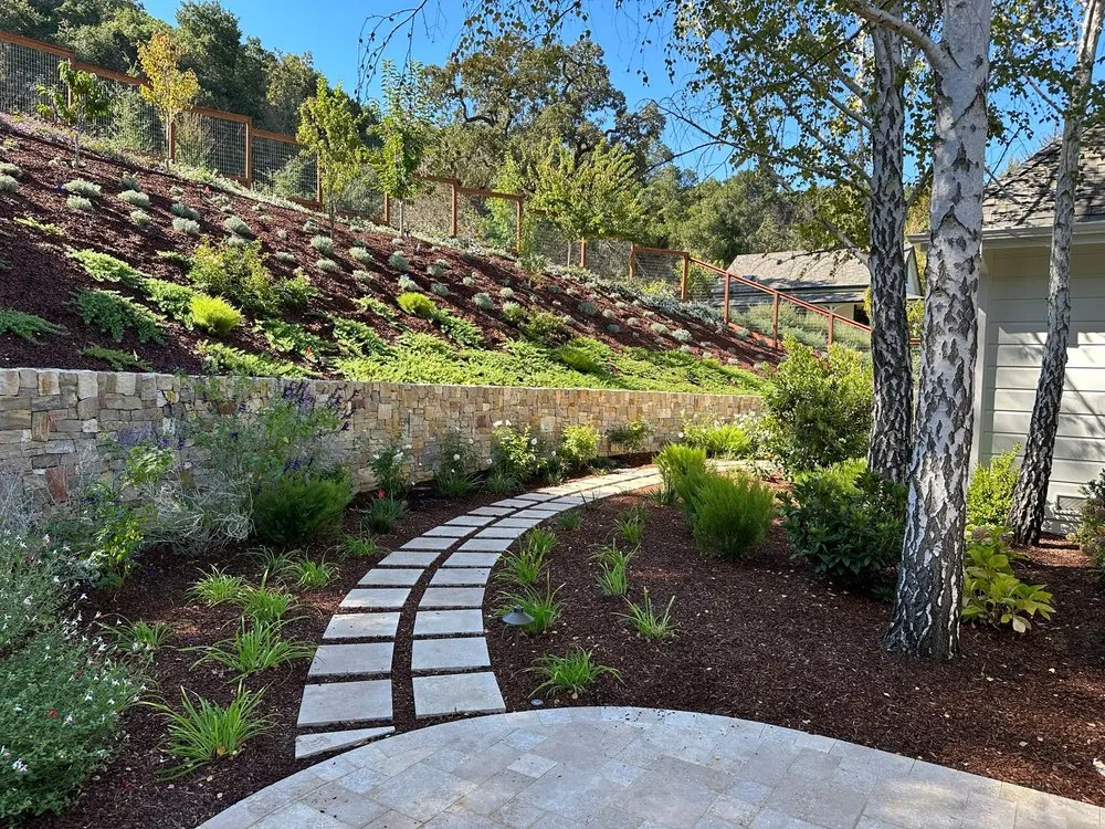 Reliable lawn care service in Redwood City, CA by Innovative Gardens