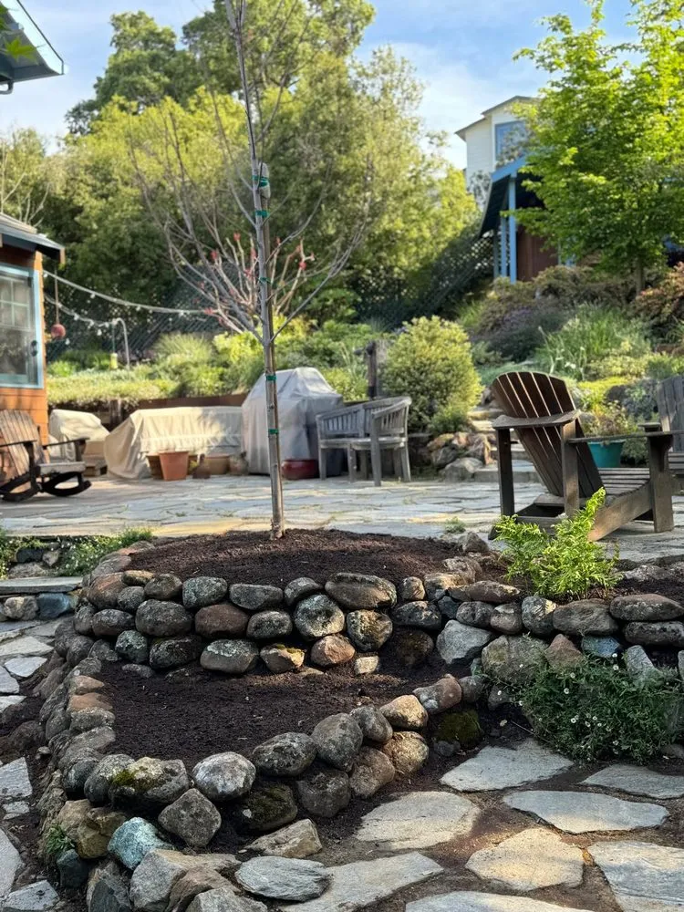 Local landscape design in Redwood City, CA - Innovative Gardens