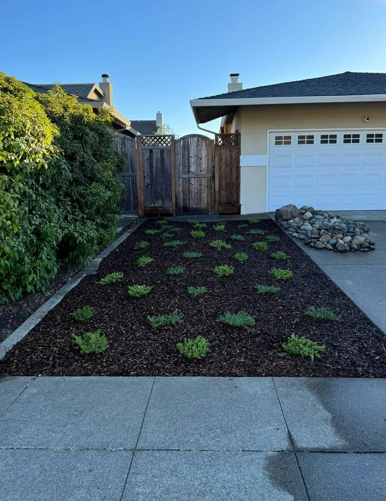 Reliable lawn care service for homes in Redwood City, CA by Innovative Gardens