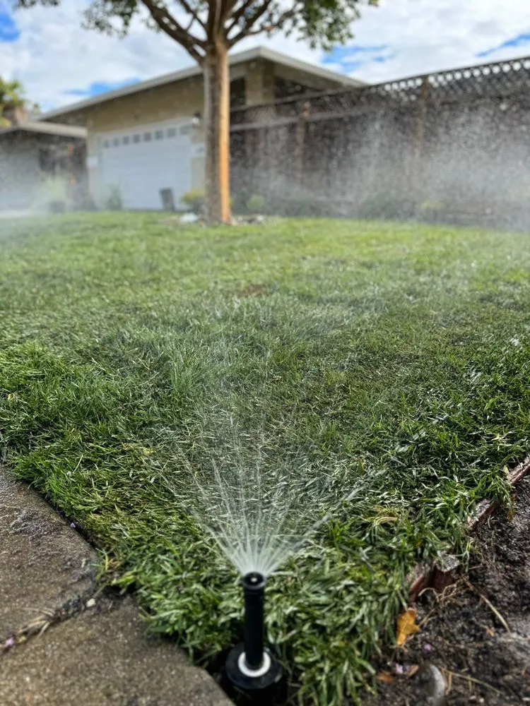 Trusted outdoor landscaping with custom design across Redwood City, CA - Innovative Gardens