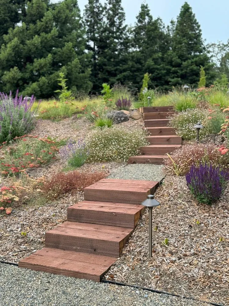 Professional yard cleanup service in Redwood City, CA by Innovative Gardens