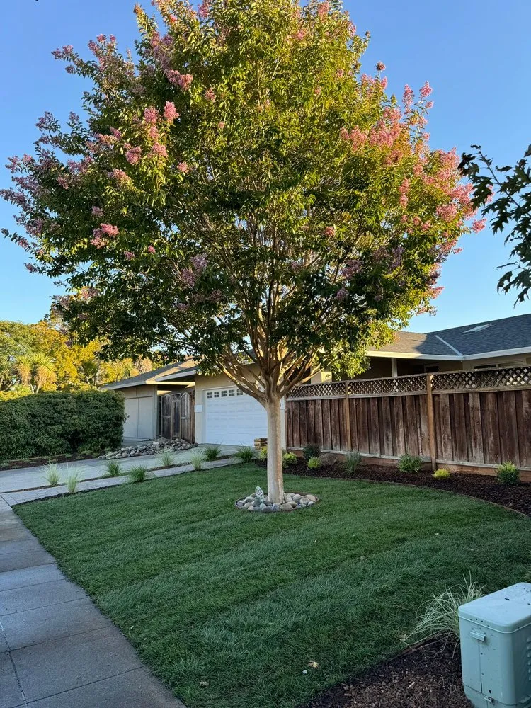 Professional residential landscaping experts serving Redwood City, CA - Innovative Gardens