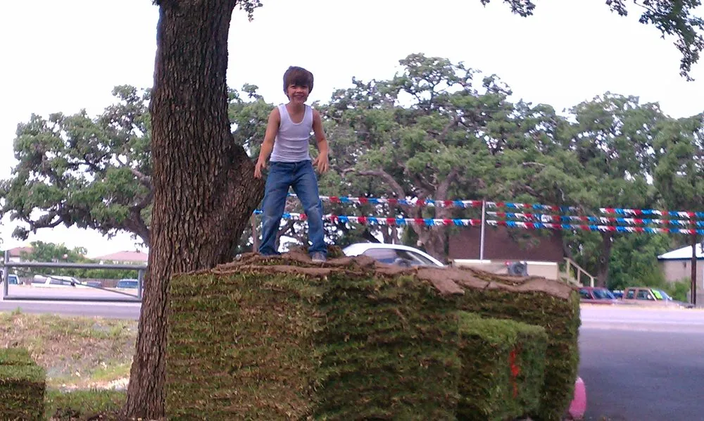 Expert landscaping services experts serving San Antonio, TX - Innovative Grass