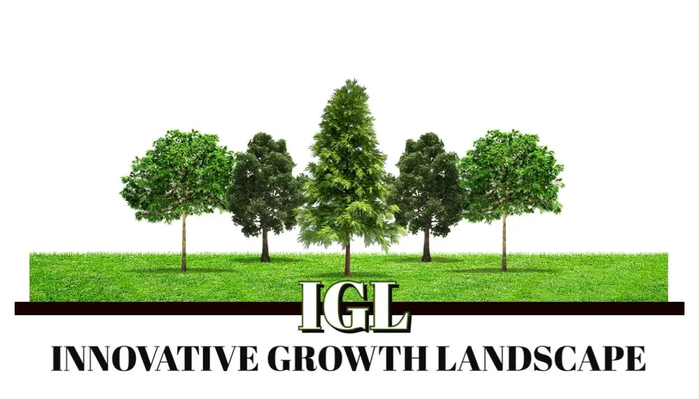 Expert landscaping services with custom design in San Jacinto, CA by Innovative Growth Landscape