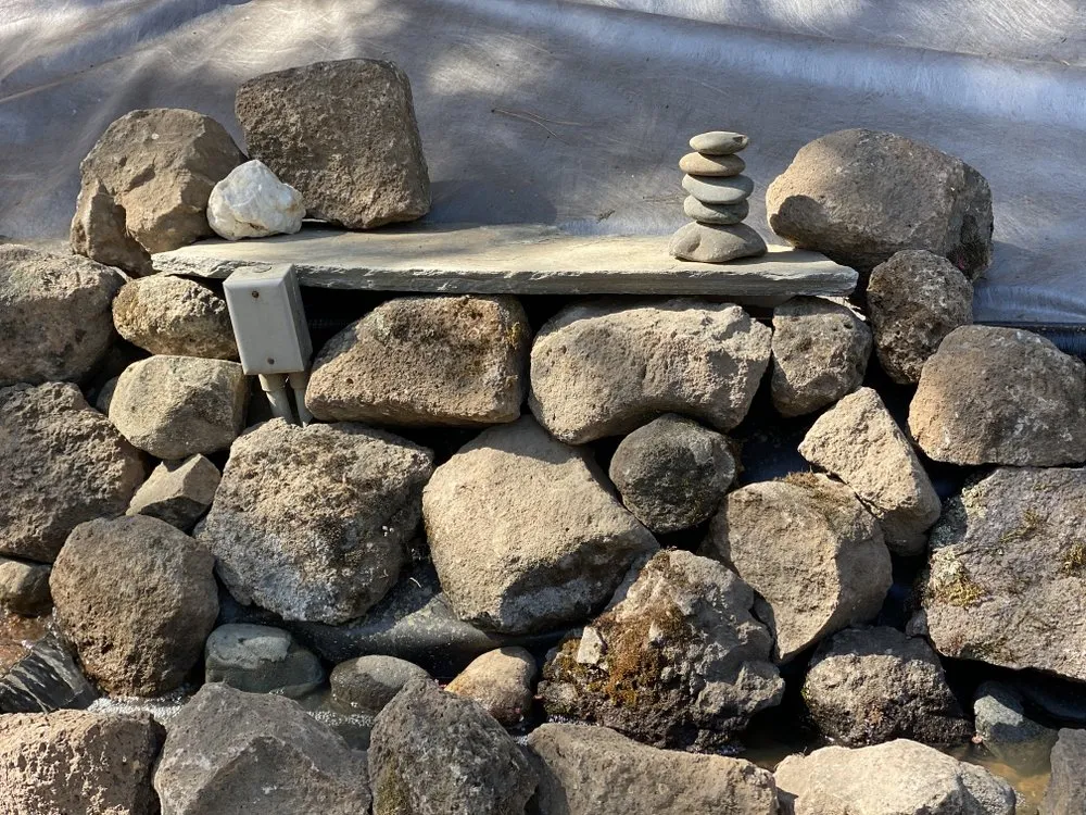 Expert yard maintenance in Citrus Heights, CA by Innovative Handygal Services