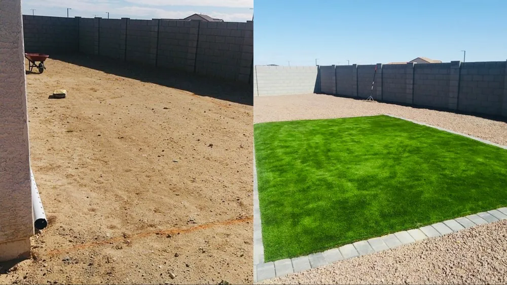 Top-rated yard cleanup service in Avondale, AZ - Innovative Landscape & Tree Care