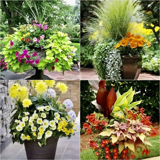 Local garden landscaping experts serving Middlebrook, VA - Innovative Landscape