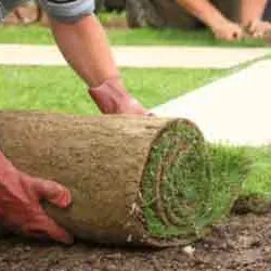 Trusted lawn mowing service in Houston, TX by Innovative Landscapes