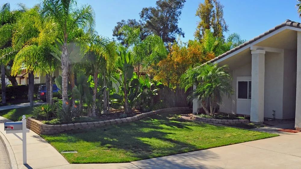 Reliable landscape design for homes across San Marcos, CA - Innovative Landscapes