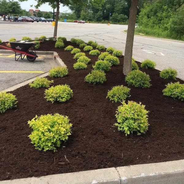 Professional outdoor landscaping with custom design across East Moline, IL - Innovative Landscaping and Maintenance