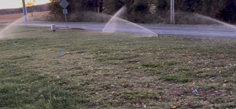 Local yard cleanup service in Camden, DE by Innovative Landscaping