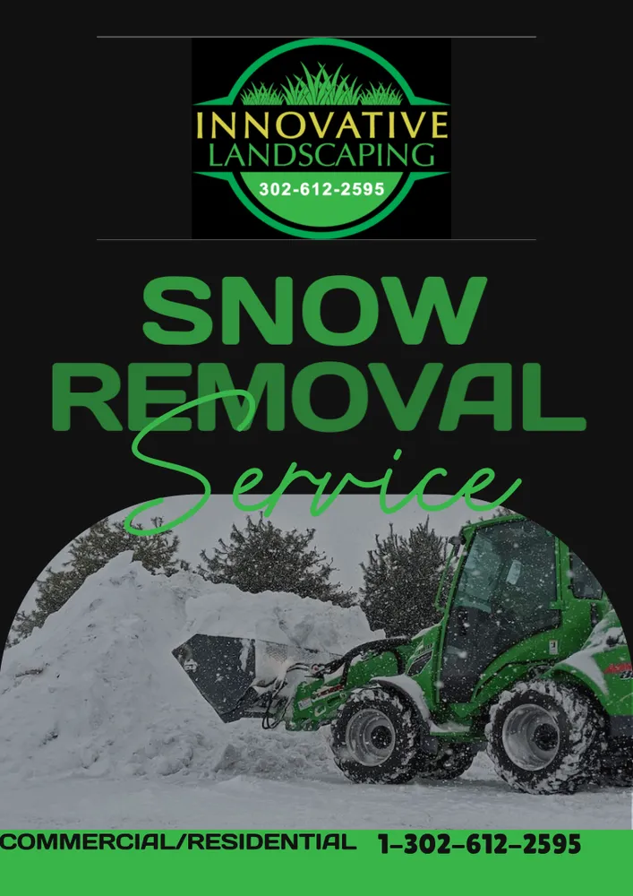 Top-rated yard maintenance for outdoor upgrades in Camden, DE by Innovative Landscaping