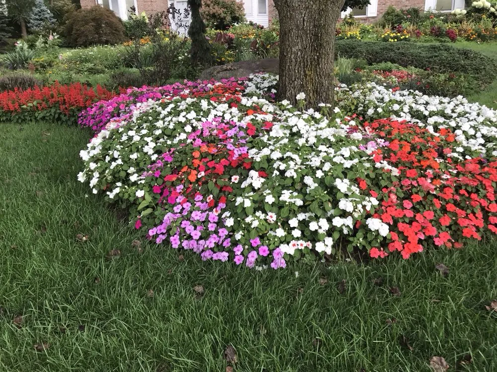 Expert lawn mowing service near you in Mahwah, NJ by Innovative Landscaping Design