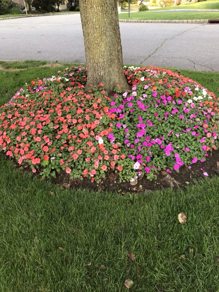 Trusted yard maintenance near you in Mahwah, NJ by Innovative Landscaping Design