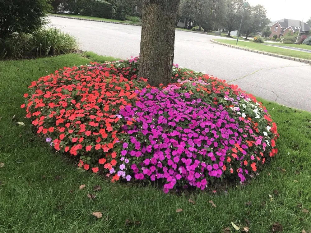 Professional landscape installation for outdoor upgrades across Mahwah, NJ - Innovative Landscaping Design