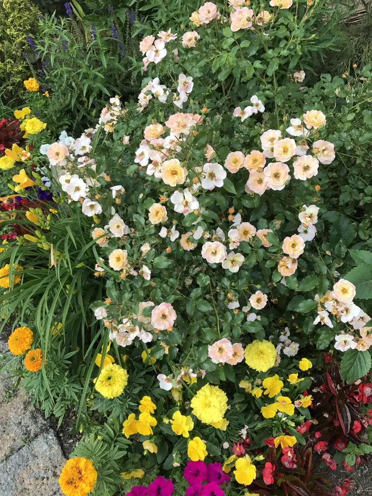 Trusted landscaping services with custom design across Mahwah, NJ - Innovative Landscaping Design