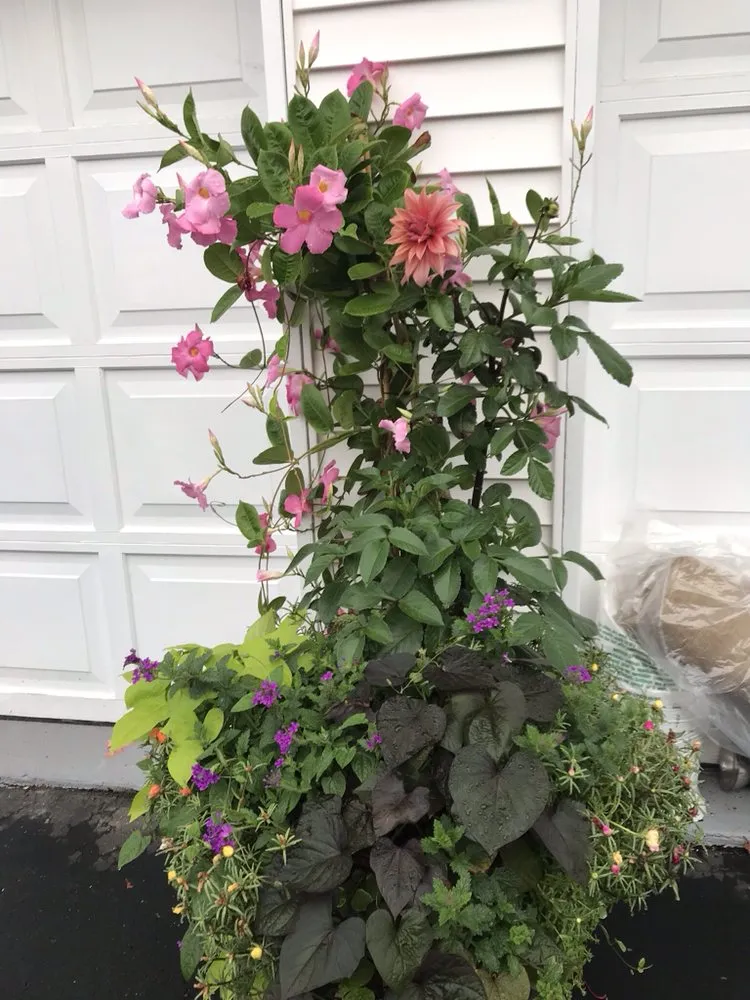 Professional lawn care service experts serving Mahwah, NJ - Innovative Landscaping Design