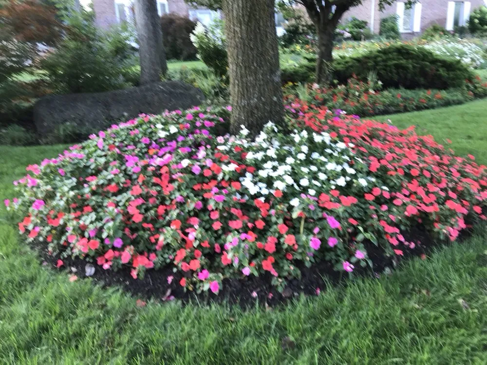 Expert yard cleanup service near you across Mahwah, NJ - Innovative Landscaping Design