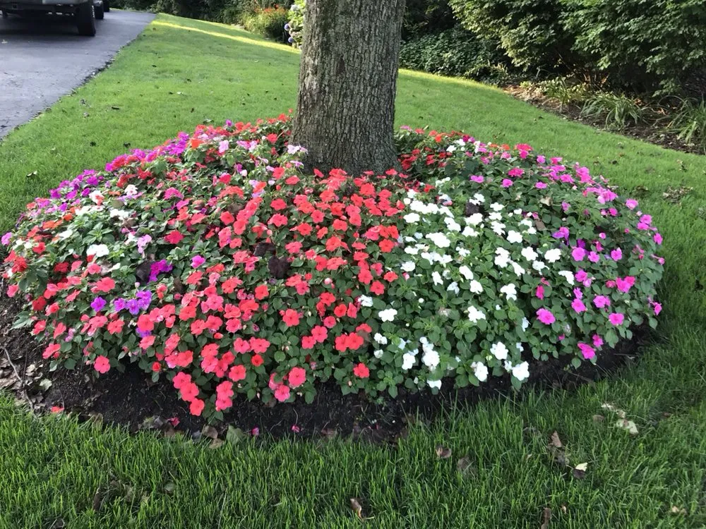Expert outdoor landscaping near you across Mahwah, NJ - Innovative Landscaping Design