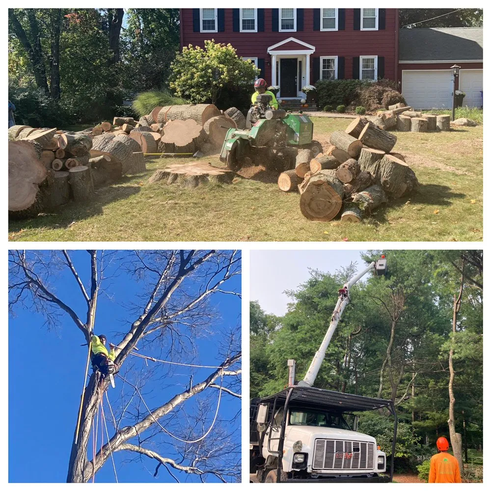 Professional lawn care service for outdoor upgrades across Bridgeport, CT - Innovative Landscaping Services