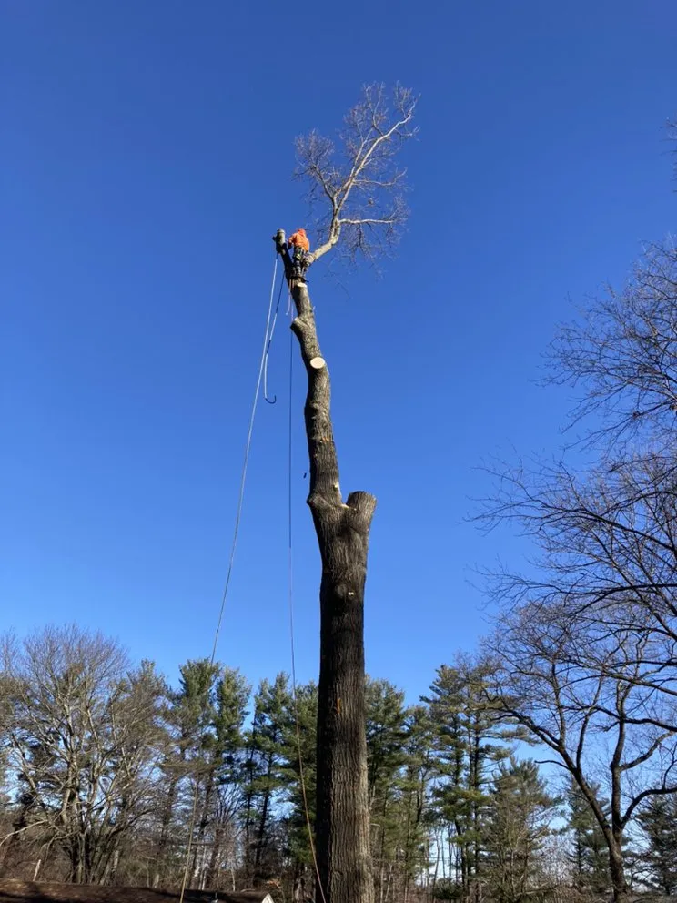 Custom outdoor landscaping for outdoor upgrades across Bridgeport, CT - Innovative Landscaping Services