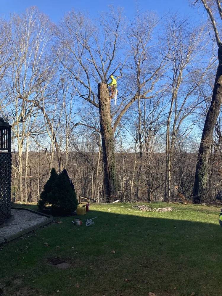 Top-rated landscape design for residential properties in Bridgeport, CT by Innovative Landscaping Services