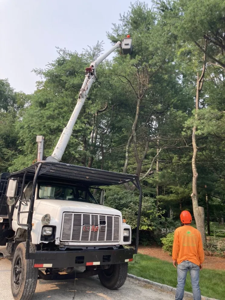 Custom landscaping services experts serving Bridgeport, CT - Innovative Landscaping Services