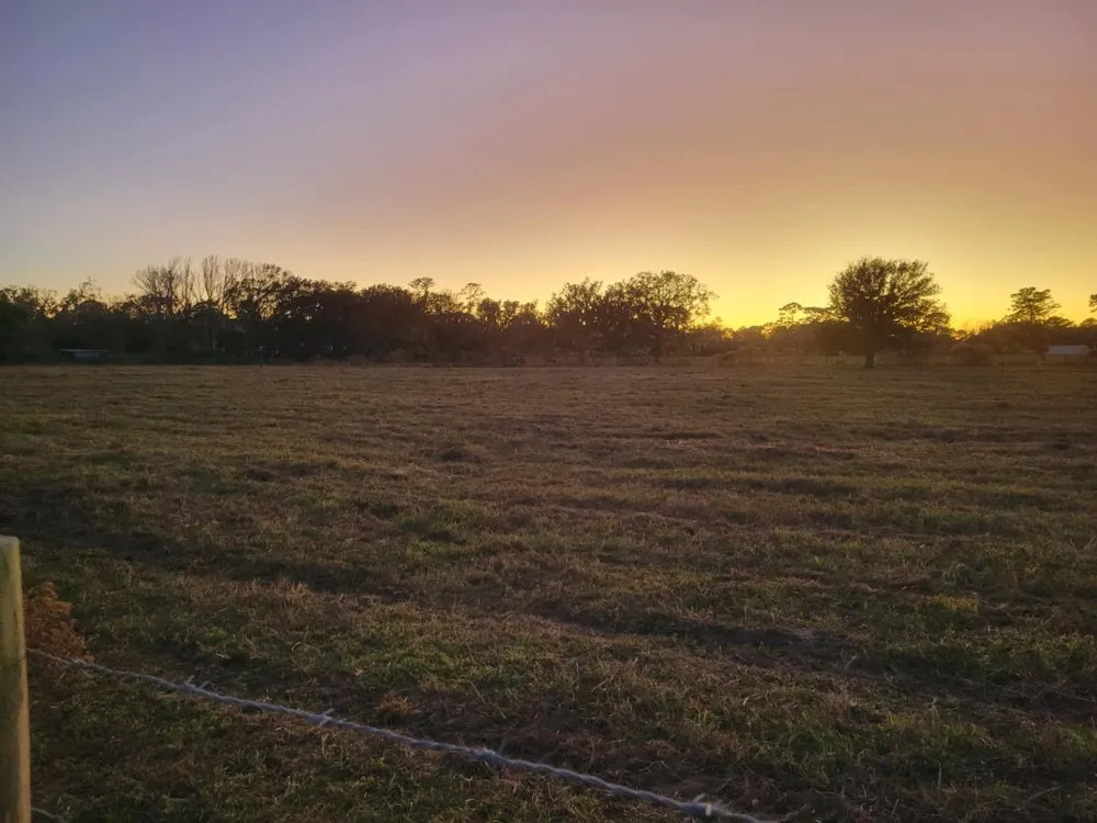 Trusted outdoor landscaping with custom design in Mims, FL by Innovative Landworks & Site Development