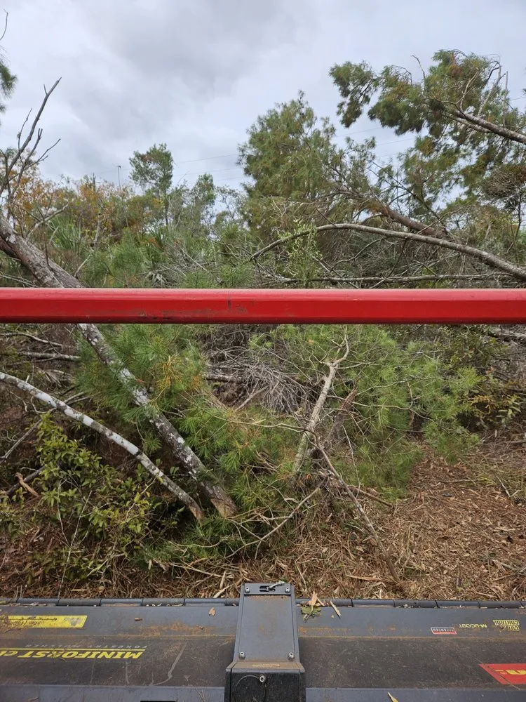 Local lawn mowing service in Mims, FL - Innovative Landworks & Site Development