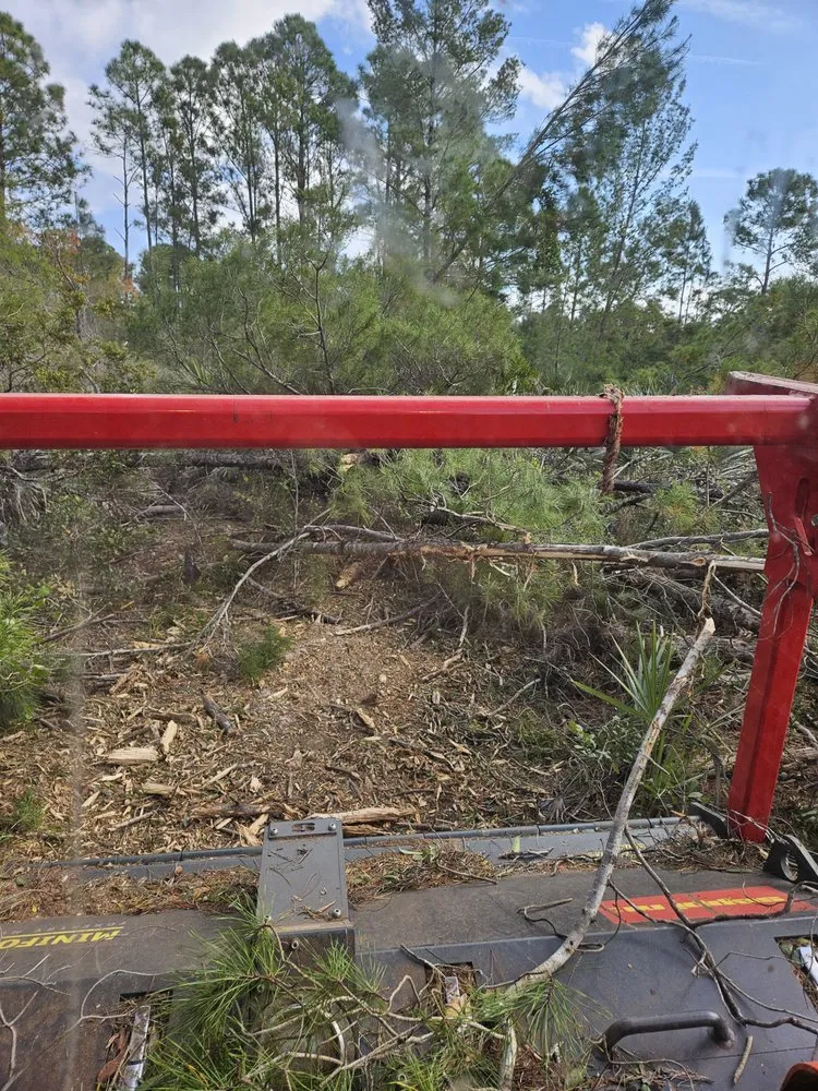 Top-rated landscape installation for beautiful yards across Mims, FL - Innovative Landworks & Site Development