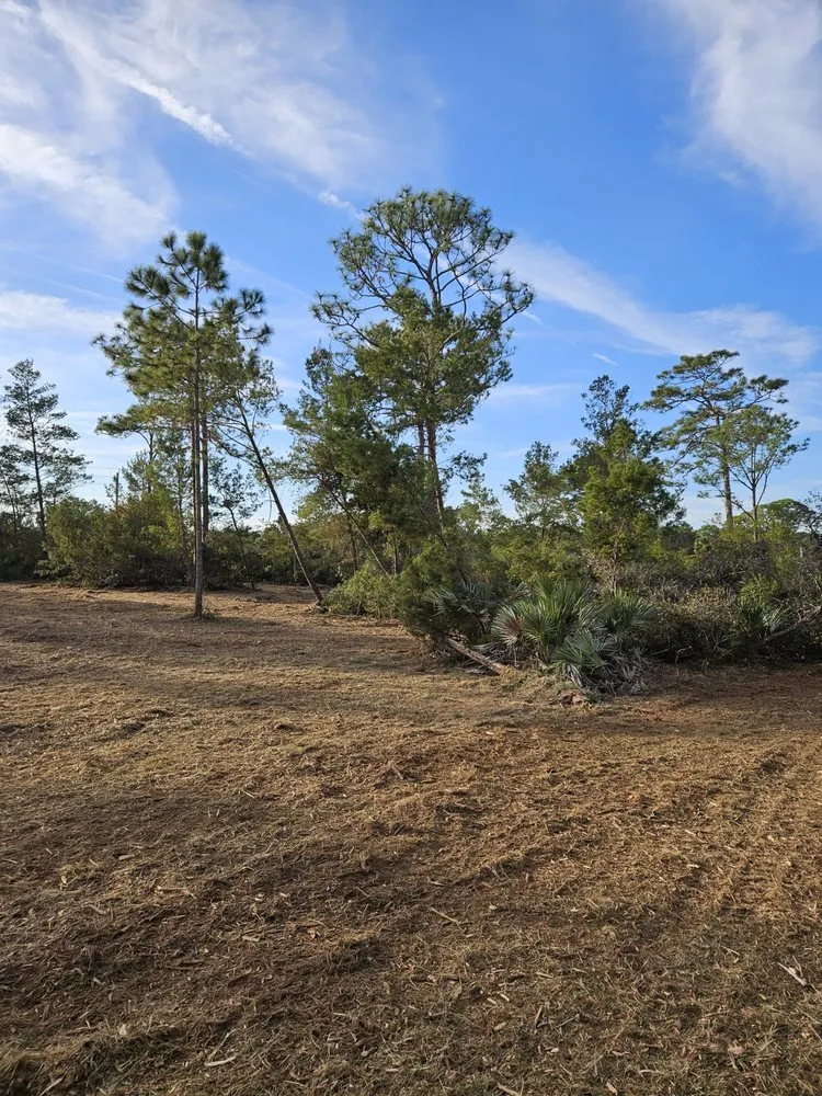 Reliable lawn mowing service experts serving Mims, FL - Innovative Landworks & Site Development