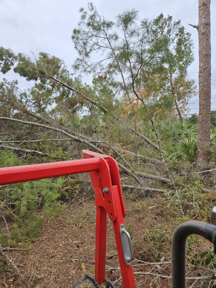 Trusted yard cleanup service in Mims, FL - Innovative Landworks & Site Development