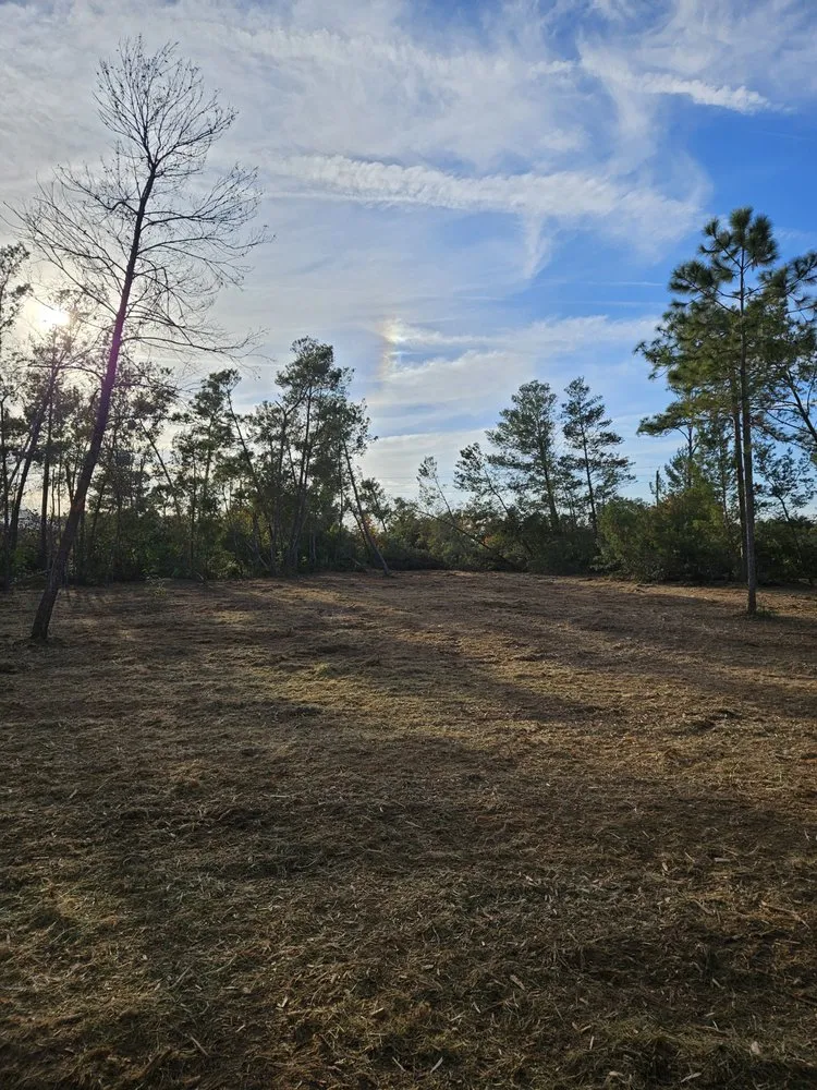 Professional yard maintenance in Mims, FL - Innovative Landworks & Site Development