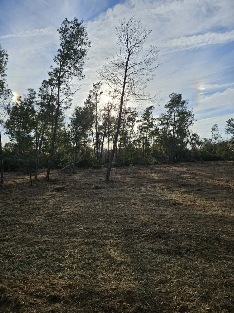 Local landscape design experts serving Mims, FL - Innovative Landworks & Site Development