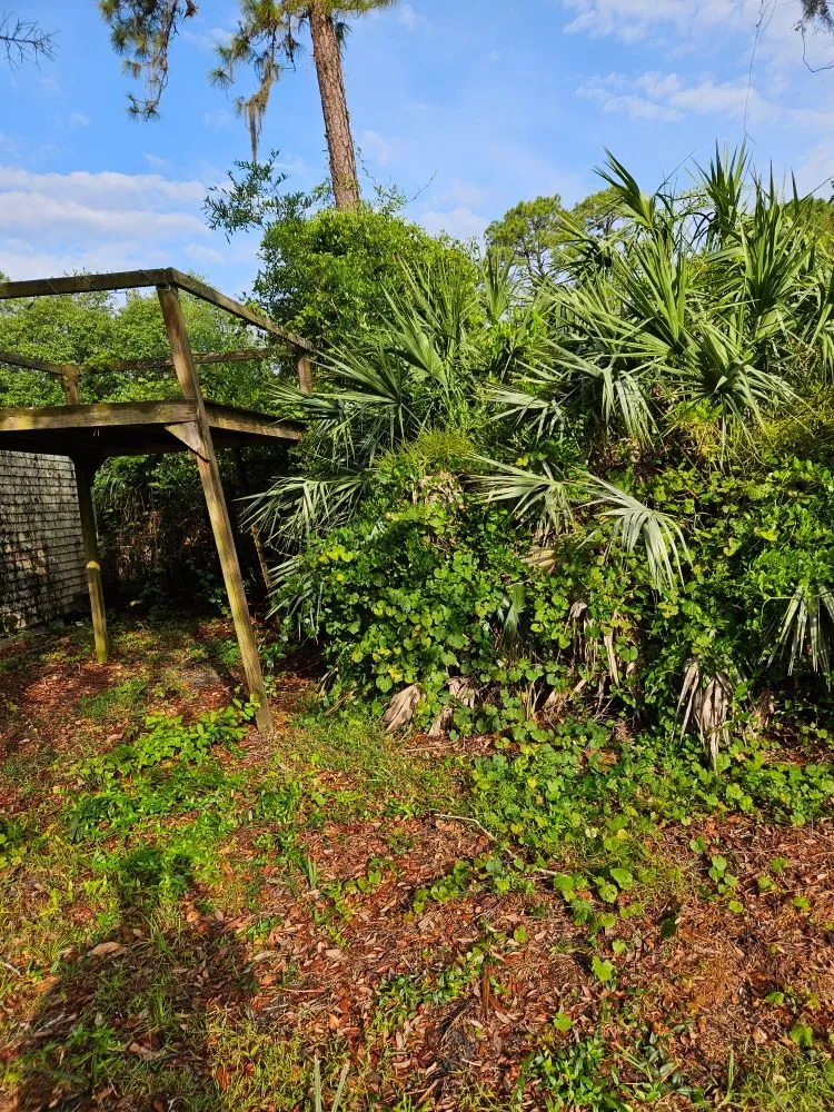 Top-rated yard maintenance for outdoor upgrades in Mims, FL by Innovative Landworks & Site Development